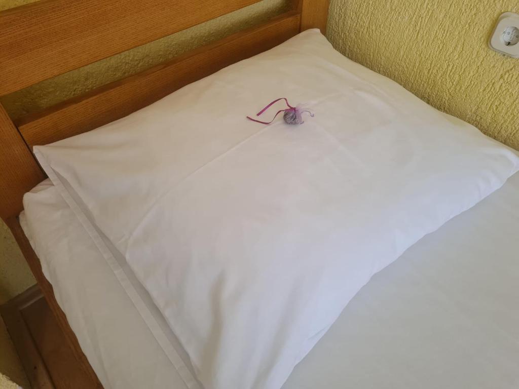 Postel nebo postele na pokoji v ubytování Croatia Cottage