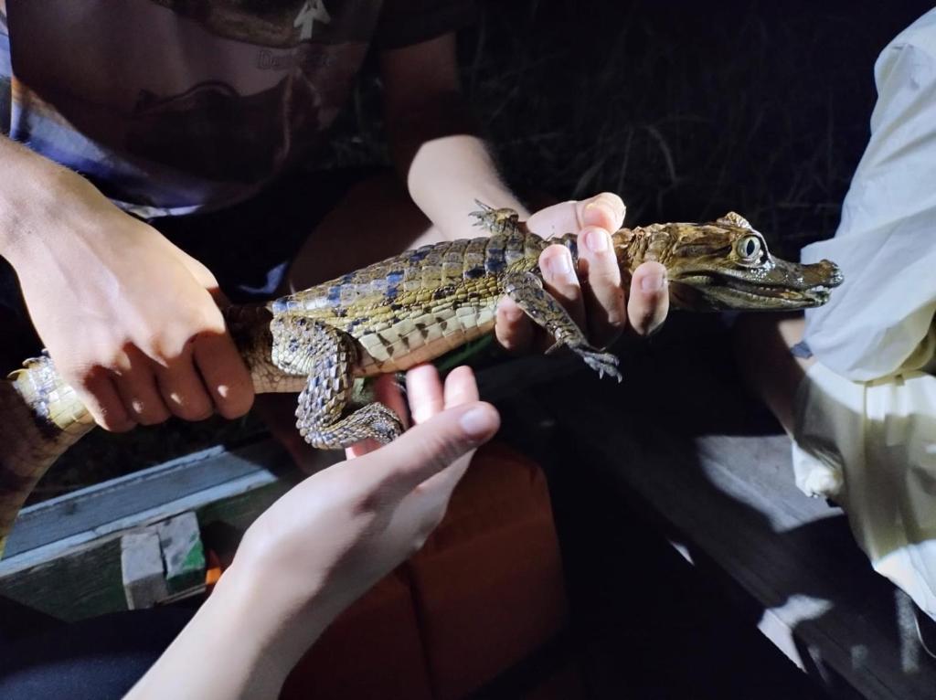 Un gruppo di persone che tengono una lucertola in mano di 2 dias e 1 noite no Curupira Amazon lodge a Colônia Paricatuba