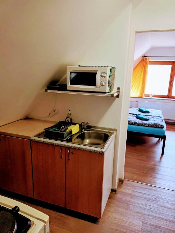 Kuchyň nebo kuchyňský kout v ubytování Vila Pavlínka apartmány Losiny