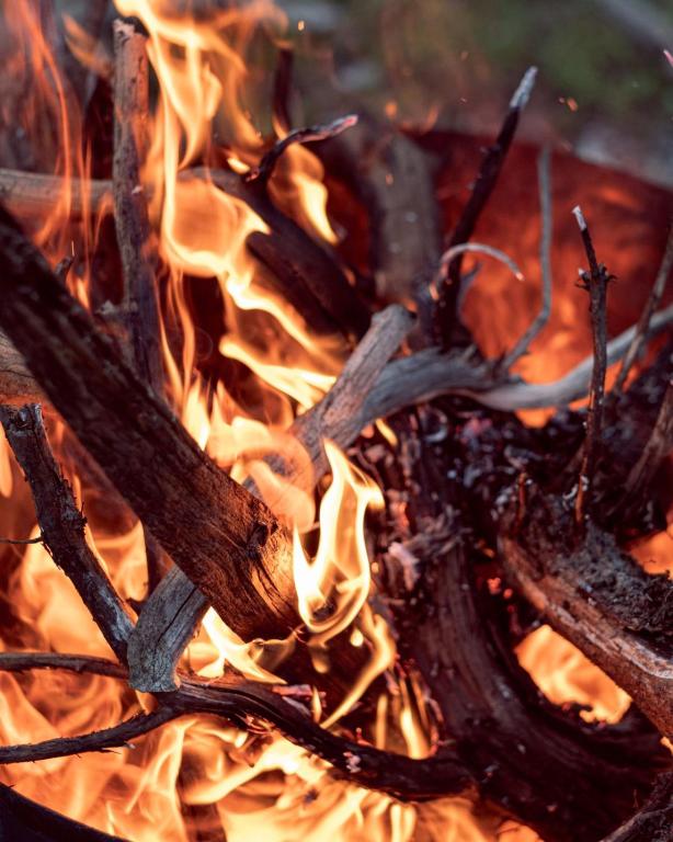 Fotografie z fotogalerie ubytování Heldi eco camping v destinaci Dragobi