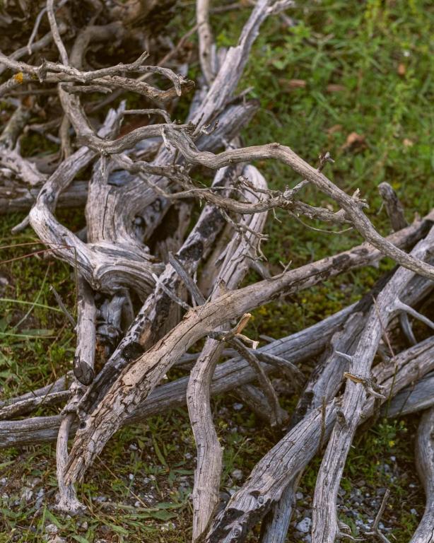 Fotografie z fotogalerie ubytování Heldi eco camping v destinaci Dragobi