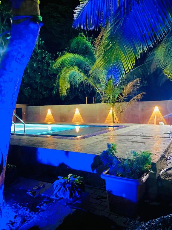 a pool at night with lights and palm trees at Sigiri Holiday Bungalow in Sigiriya