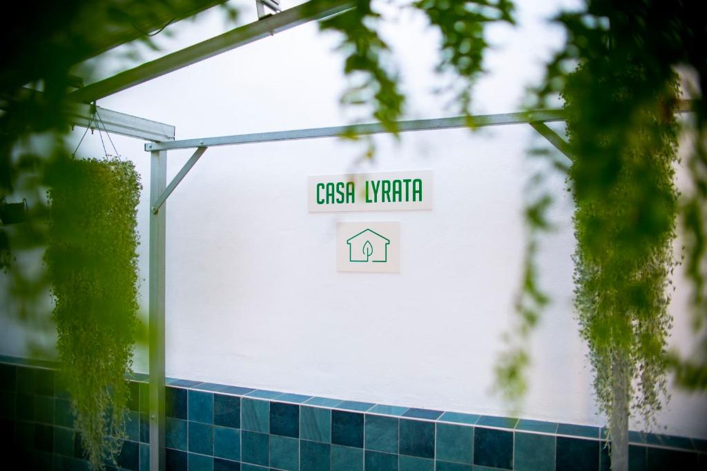 Casa Lyrata Comfort & Design - 15