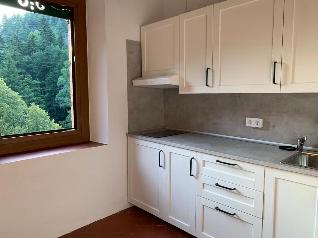 A kitchen or kitchenette at Bonavista - Els Apartaments del Bosc