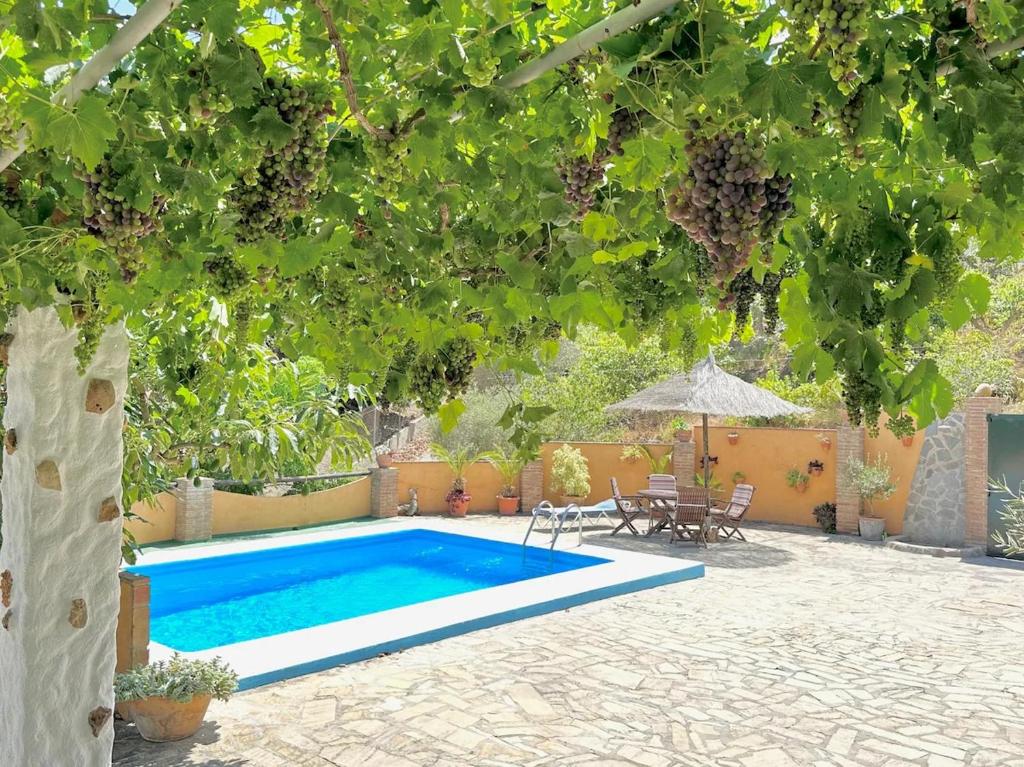 Bazén v ubytovaní Finca El Valle alebo v jeho blízkosti