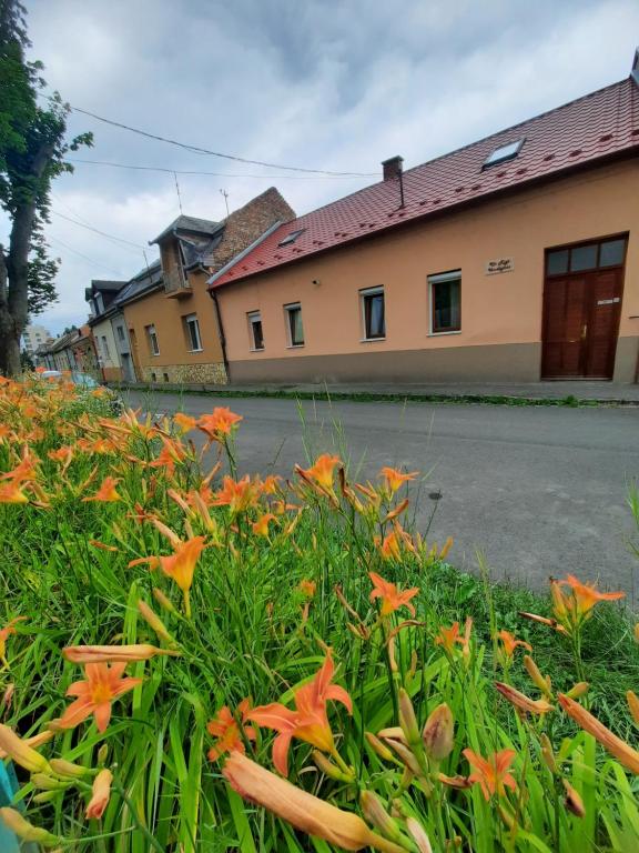 Budova, kde se penzion nachází