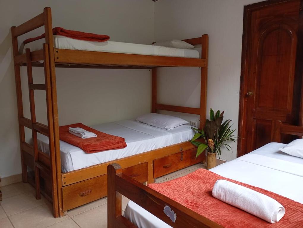 um quarto com dois beliches e uma mesa em Wisdom Forest Lodge em Tena