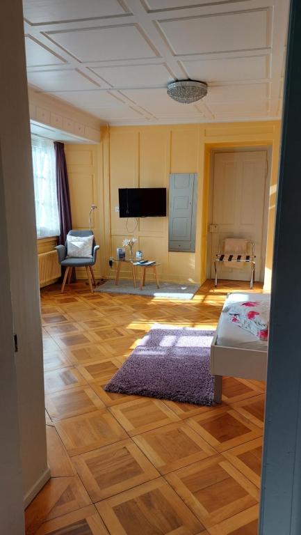 TV a/nebo společenská místnost v ubytování BnB Elsenerhaus