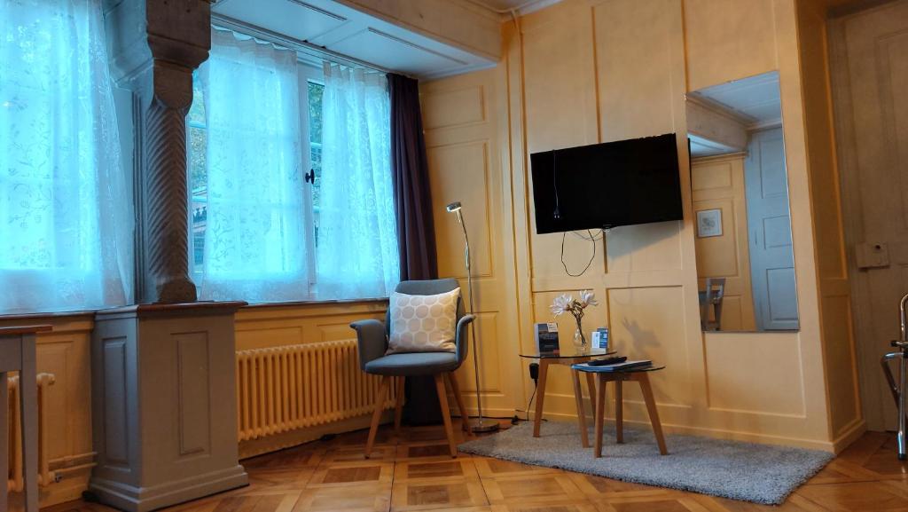 TV a/nebo společenská místnost v ubytování BnB Elsenerhaus