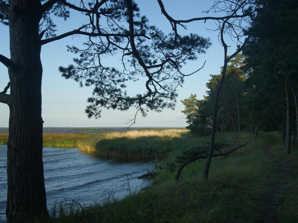 Przyroda w pobliżu tego domu wakacyjnego