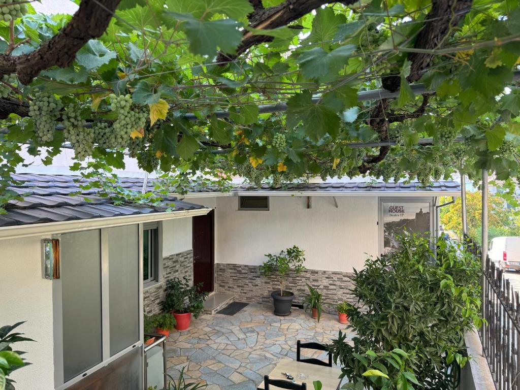 Zahrada ubytování Double17 Apartaments