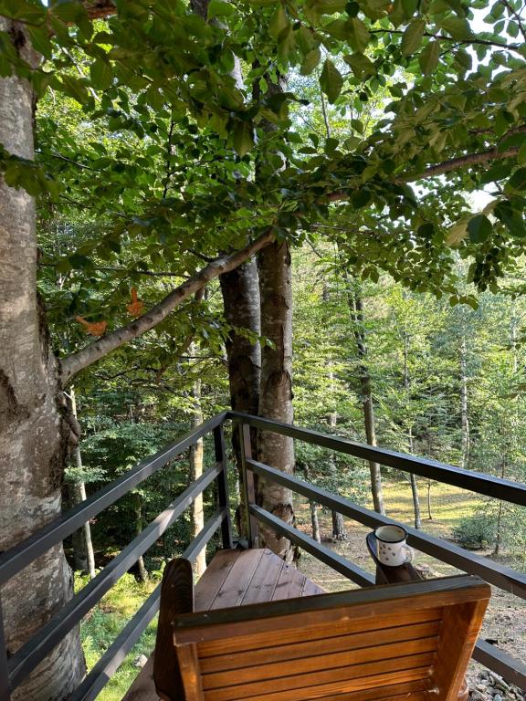Svalir eða verönd á Forest House Divcibare