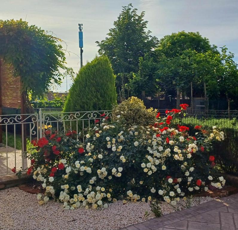 Jardín al aire libre en B&B Al sogno di Laura
