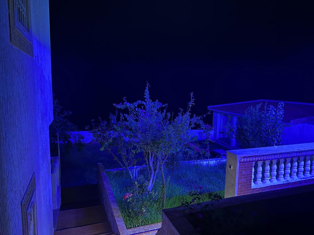 Zahrada ubytování villa victoria