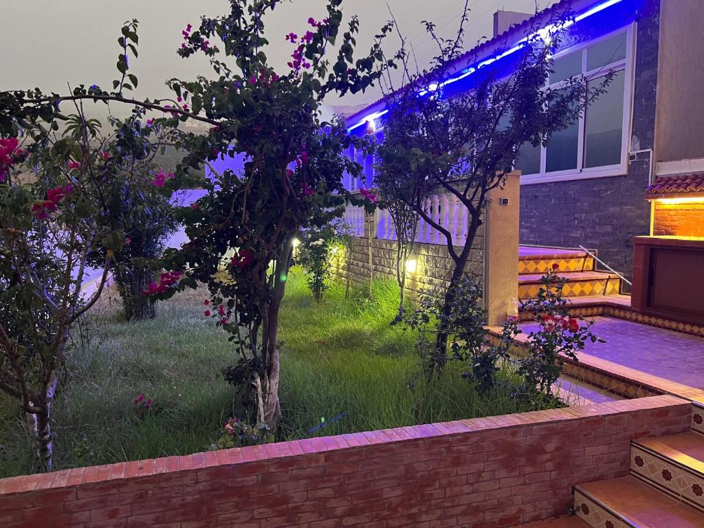 Zahrada ubytování villa victoria