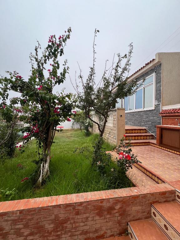 Zahrada ubytování villa victoria