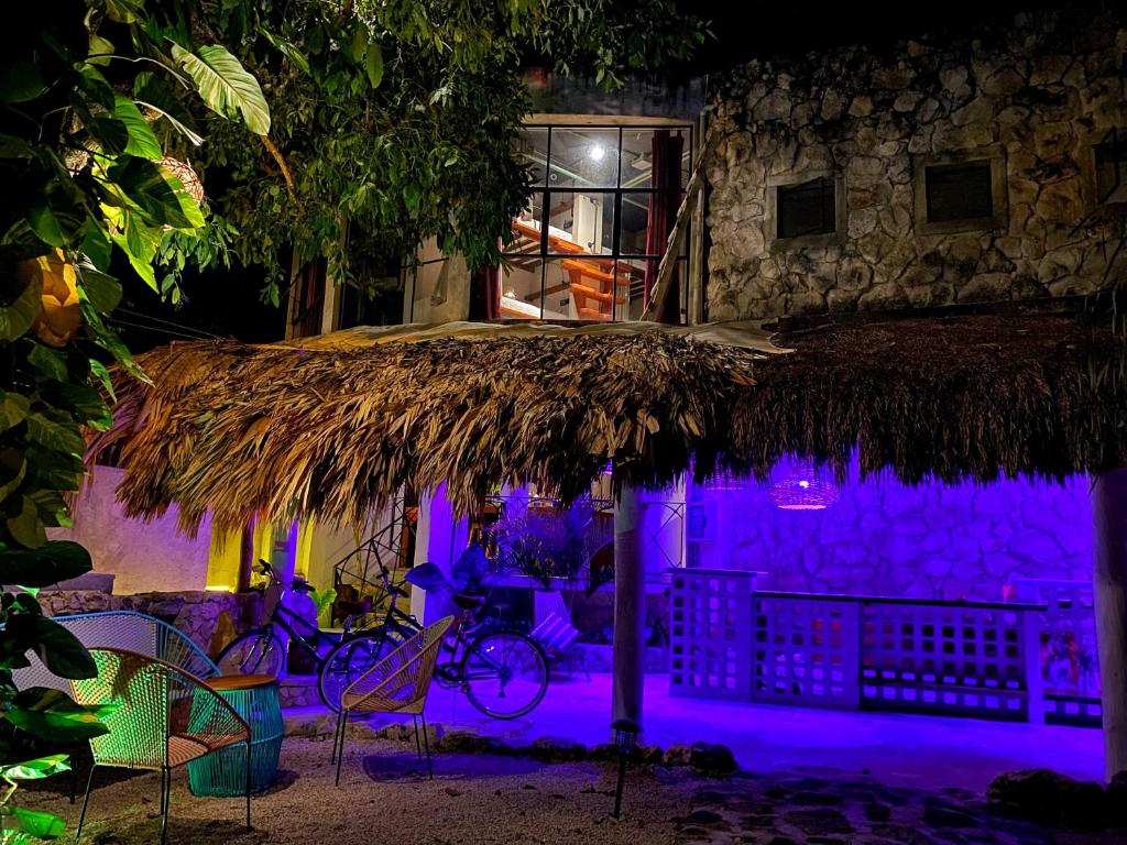 Zahrada ubytování Elmar Hostel