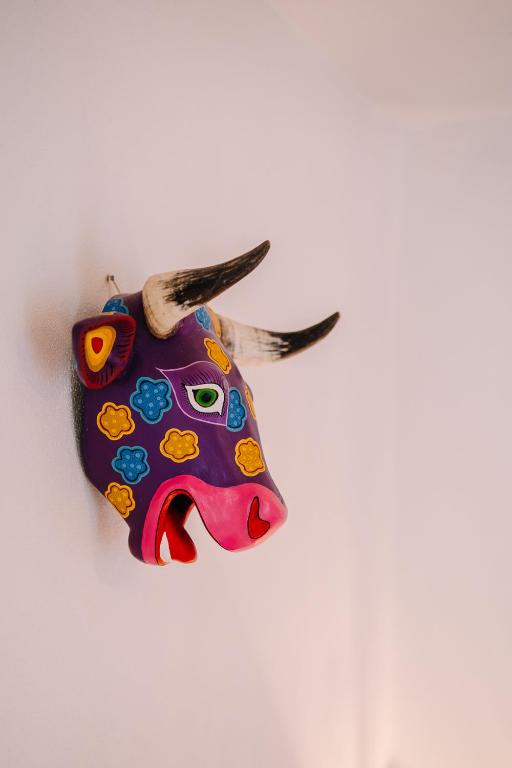 Fotografie z fotogalerie ubytování La Casa Carlota v destinaci Oaxaca