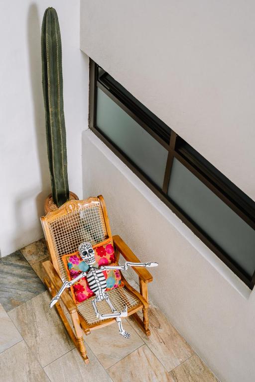Fotografie z fotogalerie ubytování La Casa Carlota v destinaci Oaxaca
