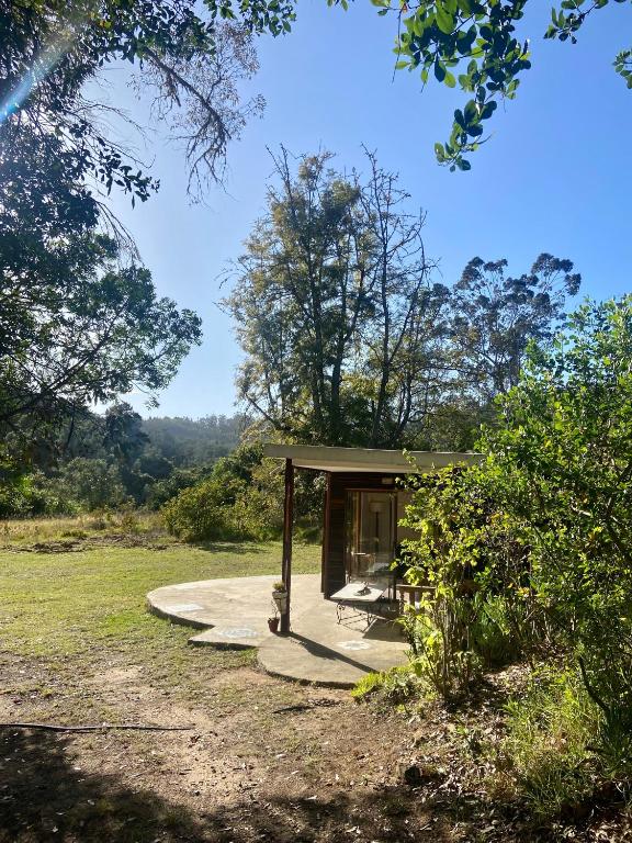 Soul forest cabin & caravan - a bird lover's dream - Image 27