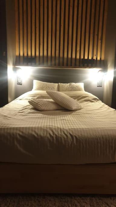 - un lit avec deux oreillers et deux lumières dans l'établissement Studio quartier Boulingrin Reims, à Reims