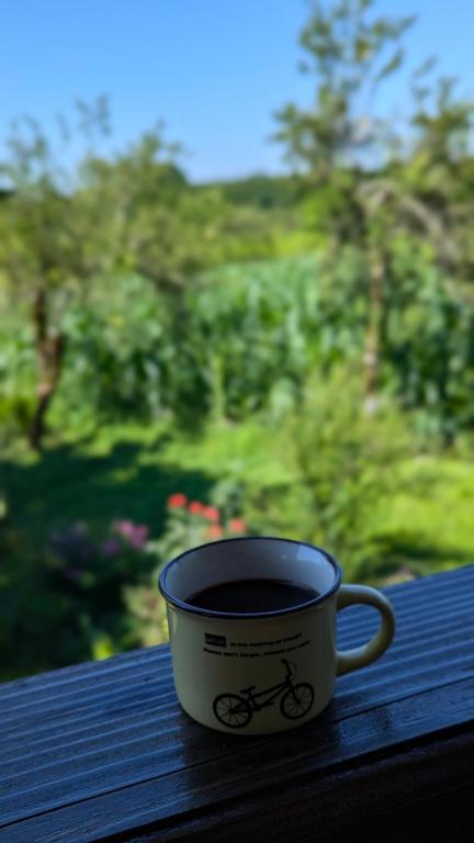 Fotografie z fotogalerie ubytování Tasia Guesthouse v destinaci Martvili