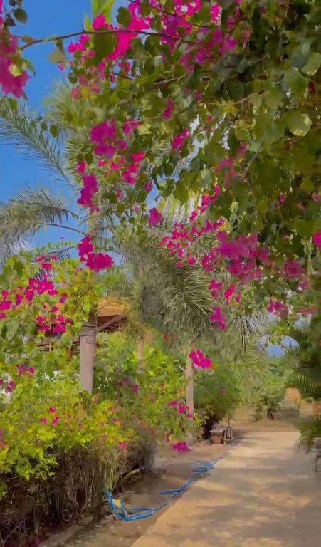 Sea Breeze Villas - Gili Air, Lombok - 14