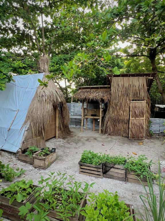 Zahrada ubytování Tribal Huts Community