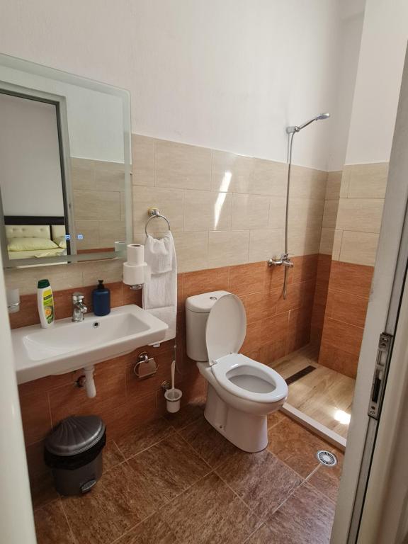 Koupelna v ubytování Hotel Brace