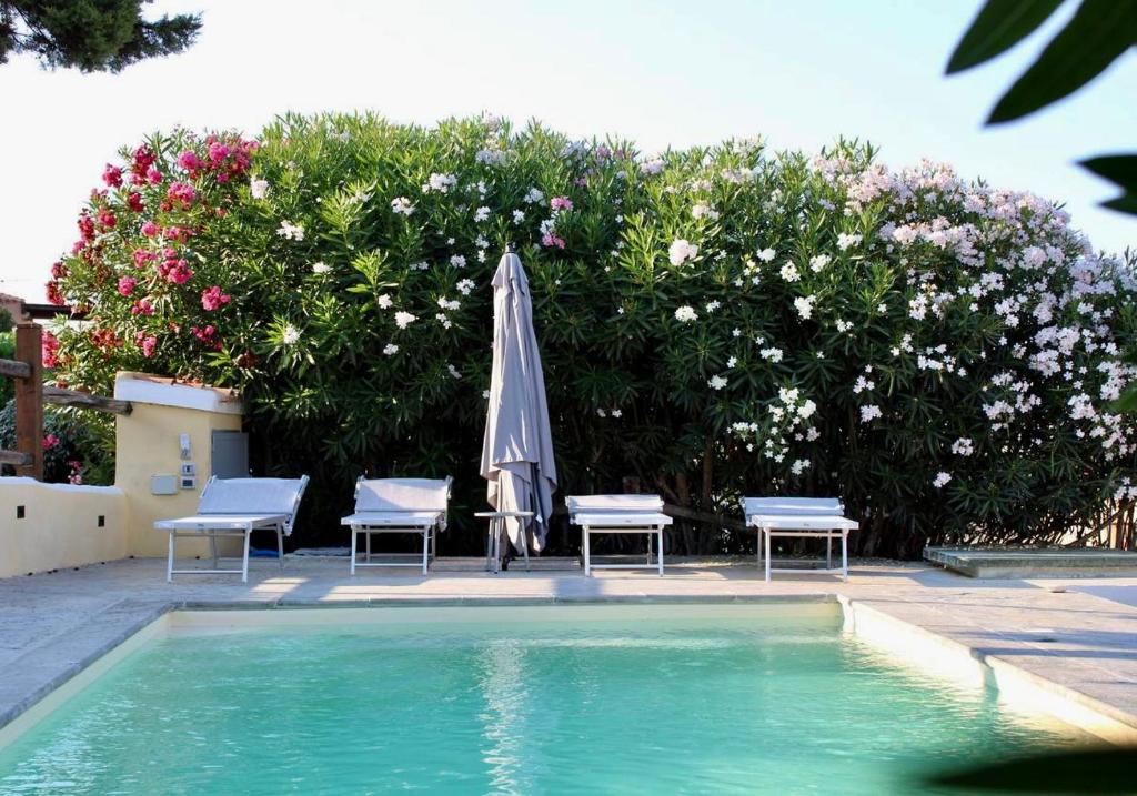 - une piscine avec des chaises, un parasol et des fleurs dans l'établissement Villa Nina - Lussuosa Villa con piscina privata a Stintino, à Cuile Pazzoni