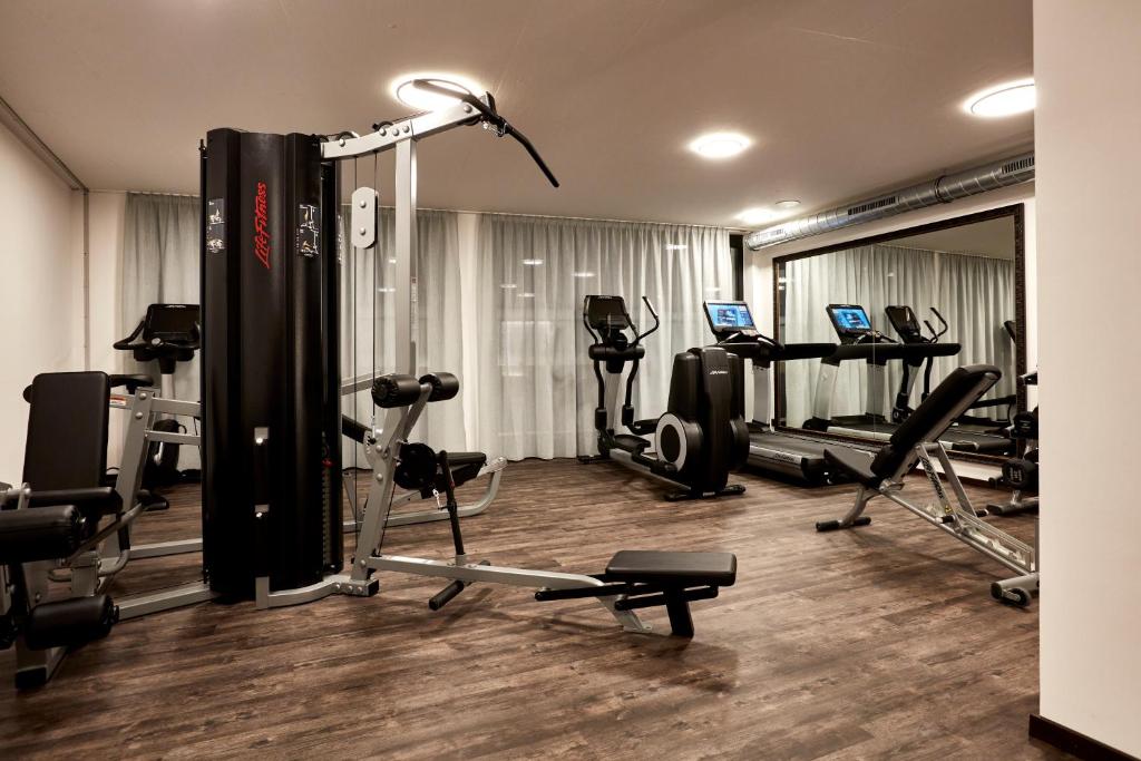 Fitness centrum a/nebo fitness zařízení v ubytování Hotel Alpina