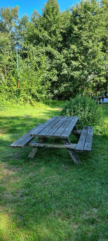 Zahrada ubytování Pod Swierkami - Agroturystyka
