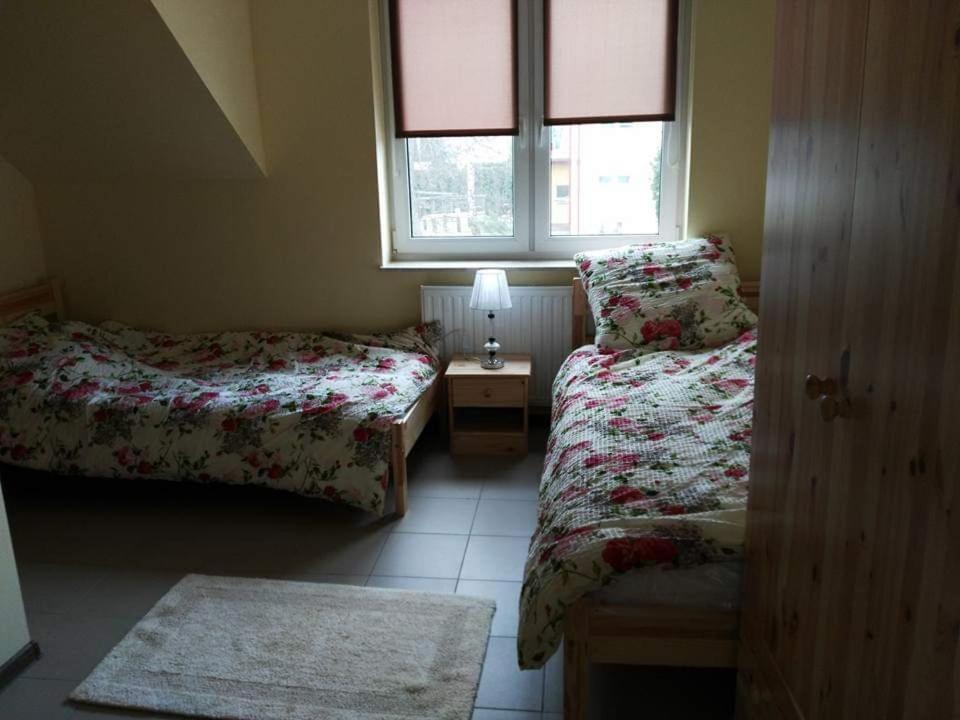 a bedroom with two beds and a window at Pod Parkanami in Spiczyn
