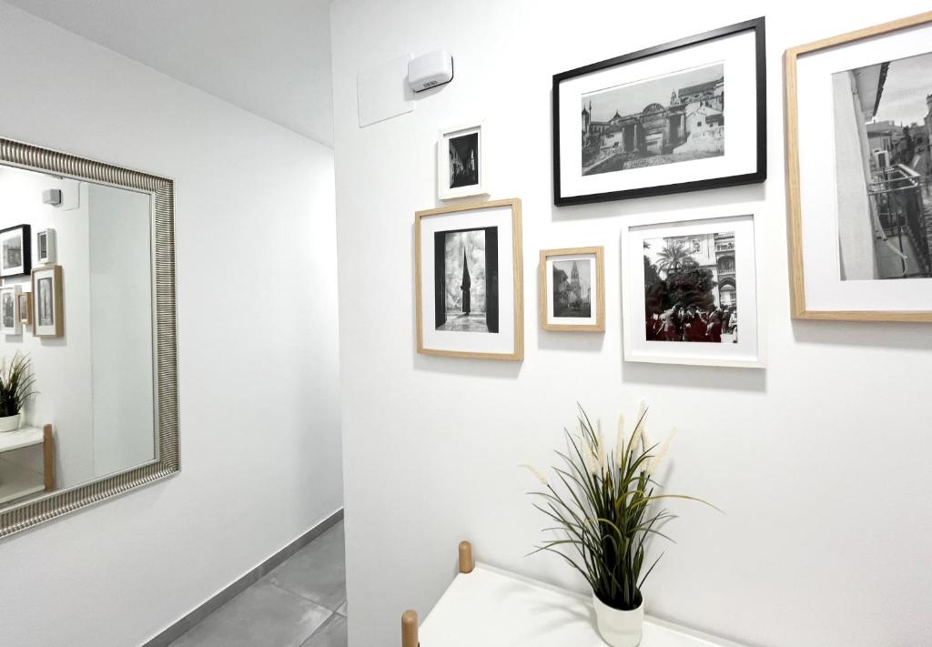 Fotografie z fotogalerie ubytování Mezquita Apartamento v destinaci Córdoba