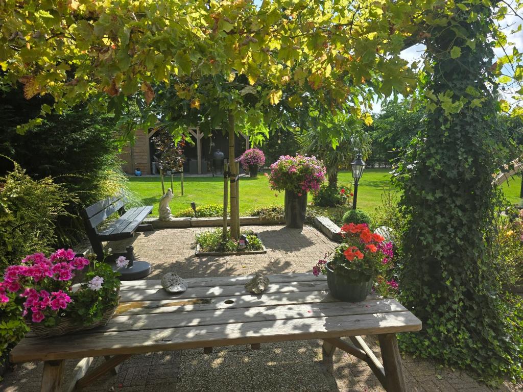 Zahrada ubytování B&B WELKOM Zierikzee