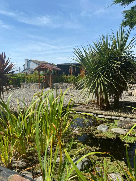 a garden with palm trees and a pond at Carlingford Glamping Hut in Rathcor Lower
