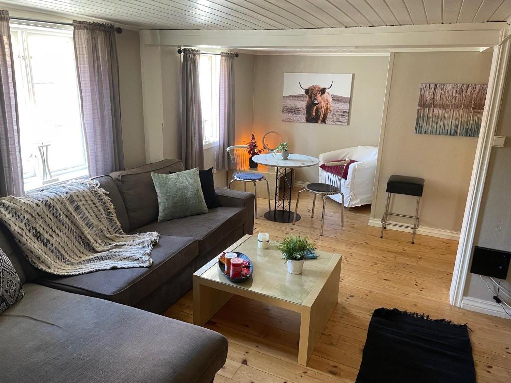ein Wohnzimmer mit Sofa und Tisch in der Unterkunft Stathelle Heritage Retreat Apartment in Bamble