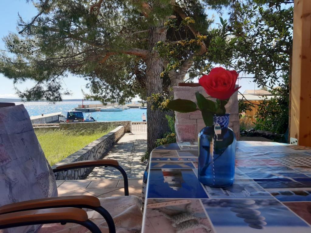a red rose in a blue vase on a table at House ViEn in Nerezine