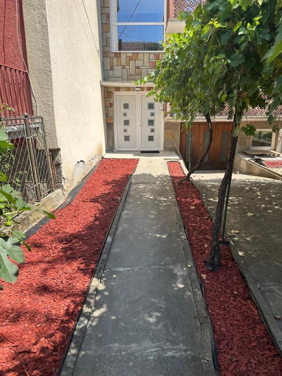 Fotografie z fotogalerie ubytování M3-apartments v destinaci Kraljevo