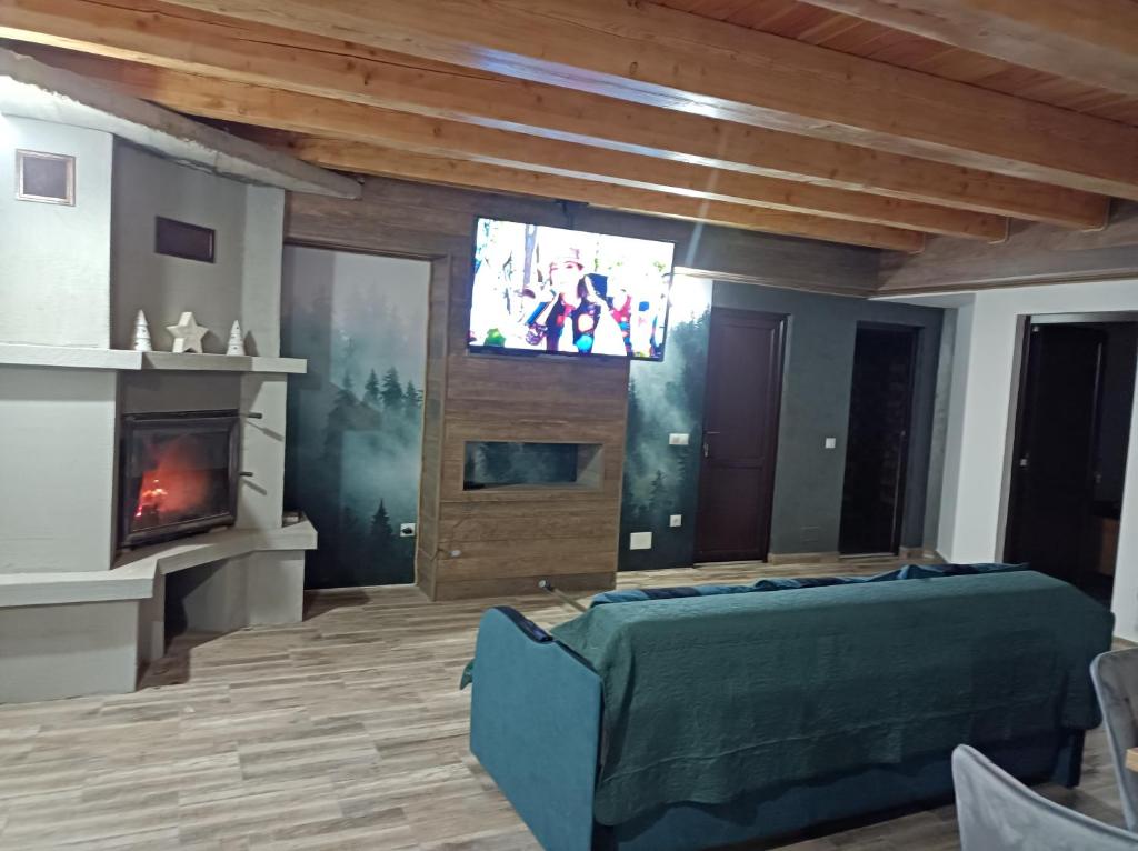 a living room with a tv and a couch at Cabana Damian in Balta