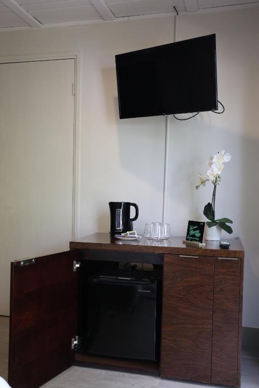 TV a/nebo společenská místnost v ubytování Aloe B&B