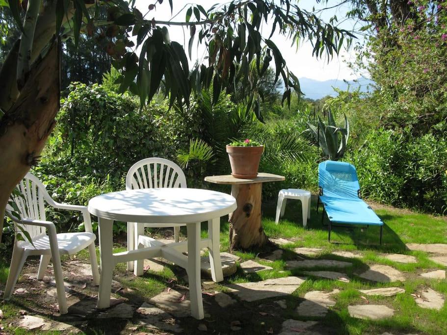 3 chaises, une table, une table et des chaises dans l'établissement studio eucalyptus, à Canale-di-Verde