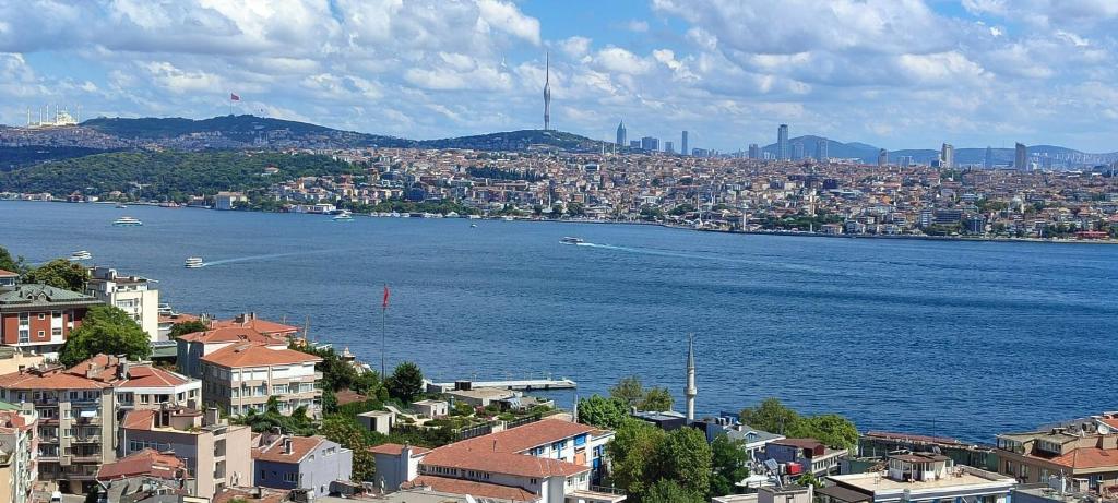 a view of a city and a large body of water at Cihangir Hotel Bosphorus in Istanbul