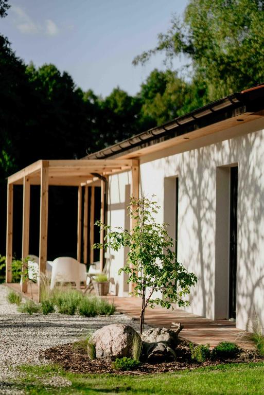 a small white house with a tree in front of it at Balia i Las Domek nad jeziorem MoreLife House in Tuczno