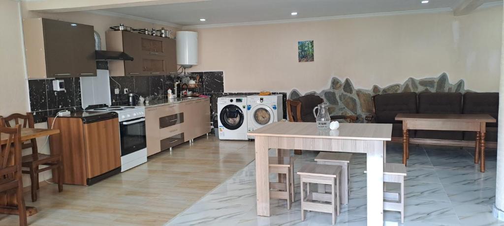 Kuchyň nebo kuchyňský kout v ubytování Guesthouse Robi