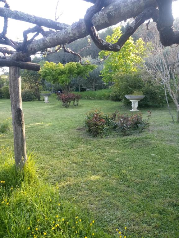 Zahrada ubytování La Torretta