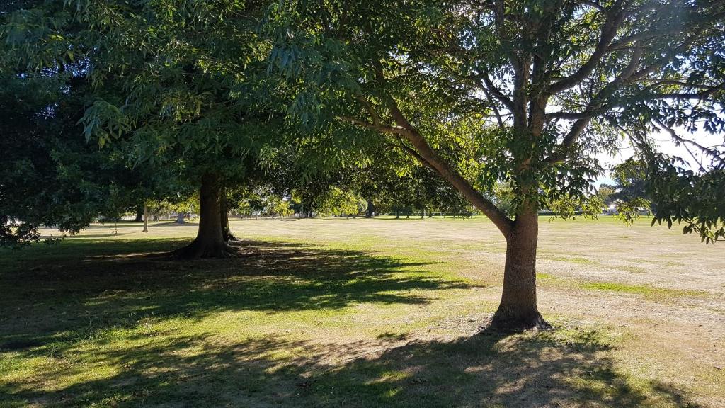 Charming Getaway by Hospital with Free Parking - Resim 8