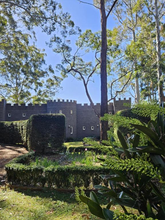 a garden with a building in the background at The Gamekeepers Spa Cottage in Tamborine Mountain in Mount Tamborine