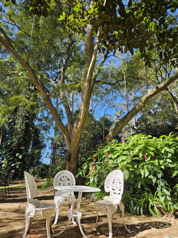 two white chairs and a table in a park at The Gamekeepers Spa Cottage in Tamborine Mountain in Mount Tamborine