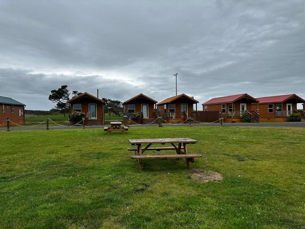 Příroda nedaleko motelu